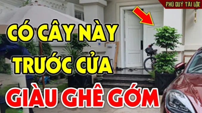 hQcWxIM6NK5bdwS-678x381