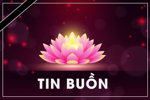 tinbuon