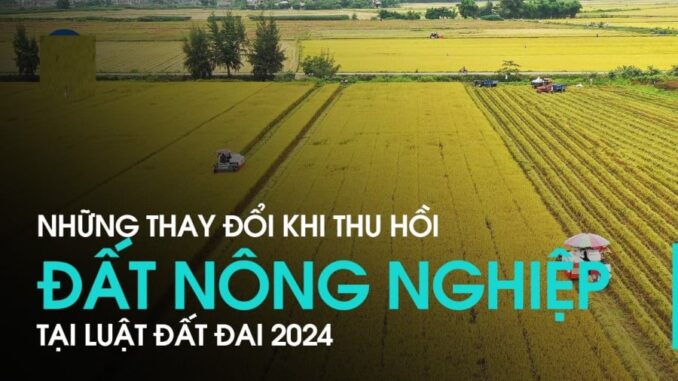 boi-thuong-nha-dat-1609