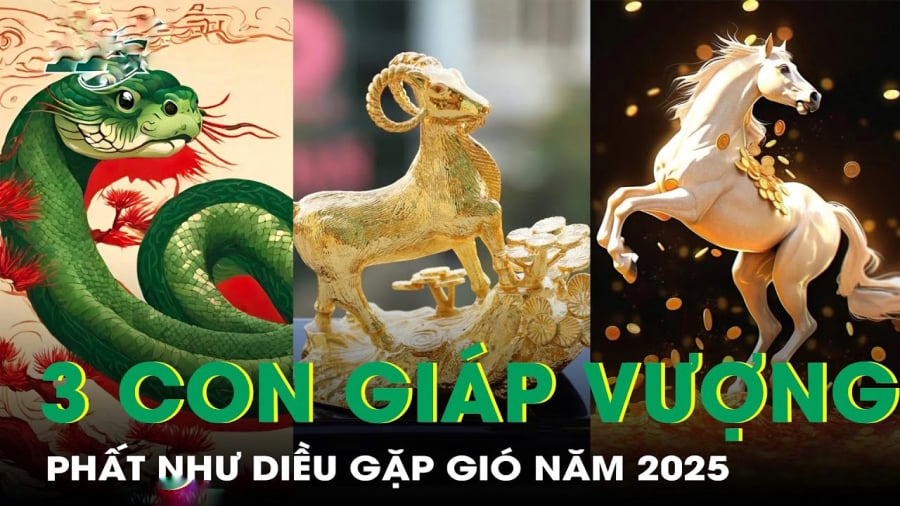 img2309-0722 Phước Lành hưởng đủ 60 ngày tới: vô tận: 3 tuổi may mắn đầy mình, tài lộc sung mãn