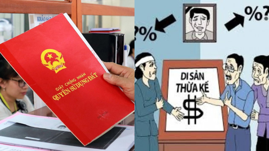 5-truong-hop-khong-duoc-huong-thua-ke-du-la-con-ruot-3